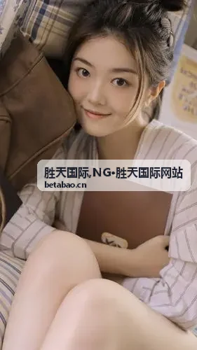 NG·胜天国际网站服务说明资料